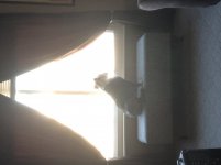 IMG_0379.jpg