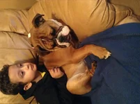 image.webp