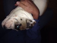 image.jpeg image.jpeg