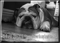 sleepy3.webp sleepy3.webp