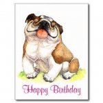 Happy Birthday smile.jpg