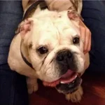 tito.webp tito.webp