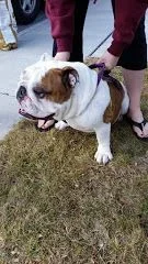 winston2.webp winston2.webp