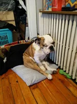 2015-02-19.webp