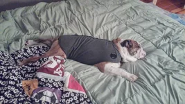 2015-02-19.webp