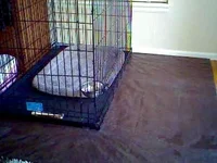 image.webp image.webp