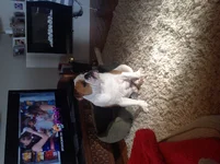 image.webp