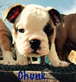chunk3.webp