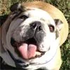 sammie.webp