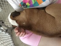 image.jpeg
