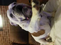 20150225_191234.webp