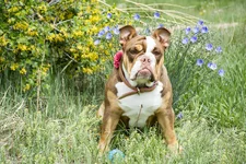 DSC_0026.webp DSC_0026.webp