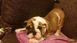 Im so cute!.webp