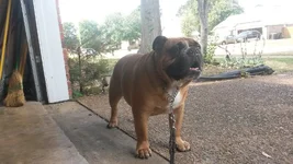 20140927_141511.webp
