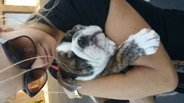 Vader and Mom.webp Vader and Mom.webp