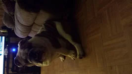 20151119_195055.webp