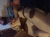 image.webp
