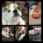 uploadfromtaptalk1448173398457.jpg uploadfromtaptalk1448173398457.jpg