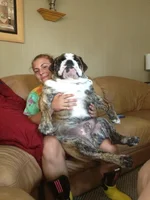 image.webp