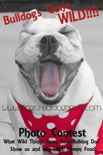 bulldogs gone wild 600 copy.webp