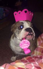 FB_IMG_1420093626343.jpg