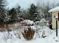 rosie first snow experience 009.webp rosie first snow experience 009.webp