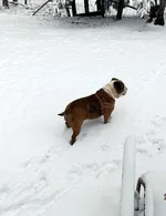 snowday.webp