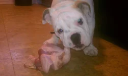 IMAG0730.webp