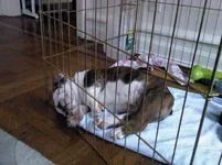 IMG00173-20120407-0933.webp