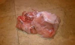IMAG0732.webp