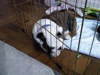 IMG00174-20120407-0944.webp