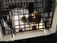 IMG00175-20120407-1404.webp