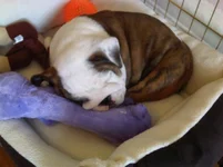 IMG00179-20120407-1514.webp