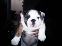 IMG00183-20120409-2150.webp