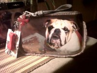 Bulldog Purse - Petfinders Fundraiser.jpg