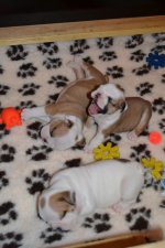 DSC_0145.jpg DSC_0145.jpg