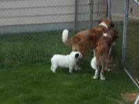 100_0355.webp 100_0355.webp