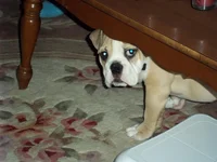 100_0010.webp