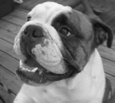 jack 002.webp