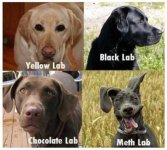 meth_lab-425x382.jpg