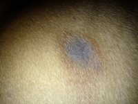 IMG_0344.jpg IMG_0344.jpg