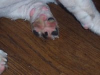 100_1556.jpg 100_1556.jpg