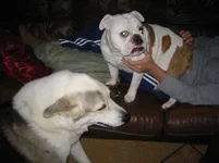 IMG_0124.webp IMG_0124.webp