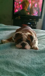 tired.webp