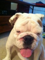 IMG_0471.jpg IMG_0471.jpg