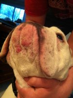 IMG_0474.jpg IMG_0474.jpg