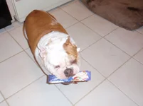 P1014337.webp