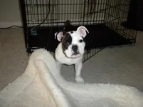 DSCN0509.webp