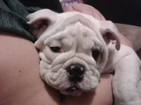 2012-03-12 19.47.58.webp