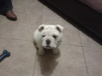 2012-03-20 21.15.07.webp